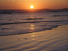Beachport Surf Beach - Restaurant Gold Coast 1