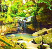 Carnarvon Gorge Carnarvon National Park - Restaurant Gold Coast