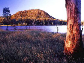 Nuga Nuga National Park And Lake Nuga Nuga - Restaurant Gold Coast 2