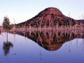 Nuga Nuga National Park And Lake Nuga Nuga - Restaurant Gold Coast 3
