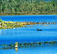Hasties Swamp National Park - Restaurant Gold Coast