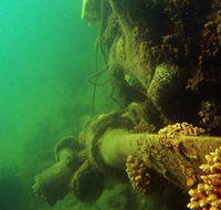 Wreck Diving at Magnetic Island - Restaurant Gold Coast