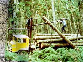 Nangwarry Forestry And Logging Museum - Restaurant Gold Coast 3