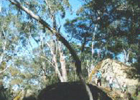 Dunrobin ACT Restaurant Gold Coast