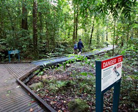 Josephine Falls, Wooroonooran National Park - Restaurant Gold Coast 2