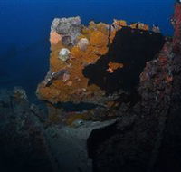 Lady Bowen Dive Site - Restaurant Gold Coast