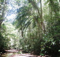 Mount Lewis National Park - Restaurant Gold Coast