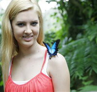 Australian Butterfly Sanctuary - Restaurant Gold Coast