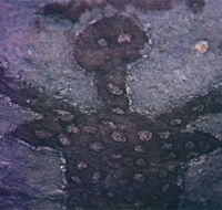 Quinkan Reserves Ancient Rock Art - Restaurant Gold Coast