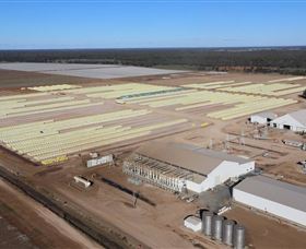 Southern Cotton Gin - Restaurant Gold Coast 0
