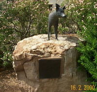 Dingo Statue - Restaurant Gold Coast