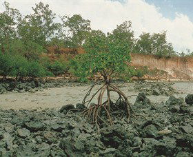 Garig Gunak Barlu National Park - Restaurant Gold Coast 3