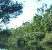 Crawford River Regional Park - Restaurant Gold Coast