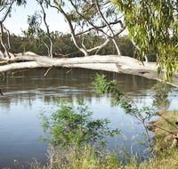 Murray Valley National Park - Restaurant Gold Coast