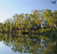 iWaterSki - Restaurant Gold Coast