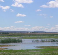 Fivebough Wetlands - Restaurant Gold Coast