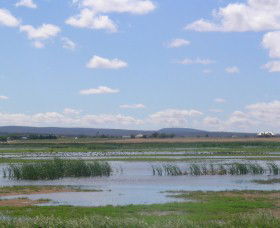 Fivebough Wetlands - Restaurant Gold Coast 0