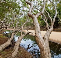Oyala Thumotang National Park CYPAL - Restaurant Gold Coast