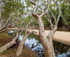 Oyala Thumotang National Park (CYPAL) - Restaurant Gold Coast 0