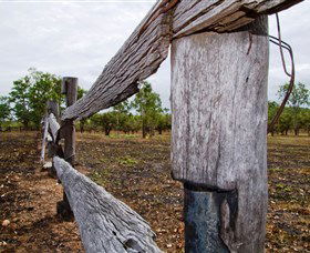 Oyala Thumotang National Park (CYPAL) - Restaurant Gold Coast 1