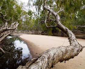 Oyala Thumotang National Park (CYPAL) - Restaurant Gold Coast 3