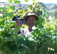 Wimmera Hills Winery - Restaurant Gold Coast