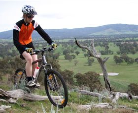 Wimmera Hills Winery - Restaurant Gold Coast 2