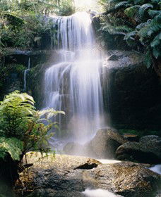 Middle Creek ACT Restaurant Gold Coast