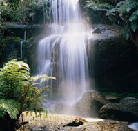 Mount Buangor State Park - Restaurant Gold Coast
