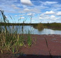 Gwydir Wetlands - Restaurant Gold Coast