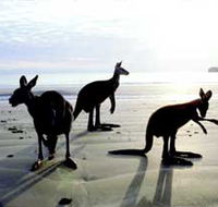 Hibiscus Coast - Restaurant Gold Coast