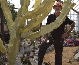 Cactus Country - Restaurant Gold Coast 0