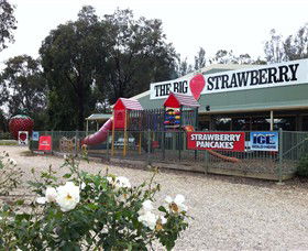The Big Strawberry - Restaurant Gold Coast 0