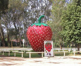 The Big Strawberry - Restaurant Gold Coast 1