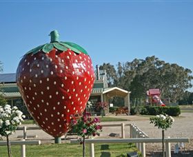 The Big Strawberry - Restaurant Gold Coast 2