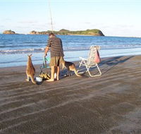 Cape Hillsborough National Park - Restaurant Gold Coast
