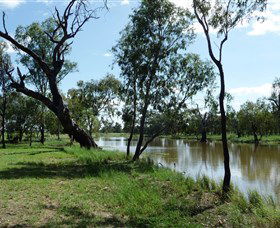 Seplin Estate Wines - Restaurant Gold Coast 1