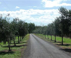 Seplin Estate Wines - Restaurant Gold Coast 3