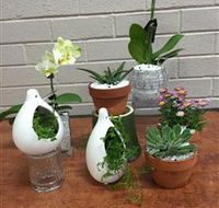 Cobram Florist - Restaurant Gold Coast