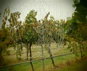 Red Earth Estate Vineyard - Restaurant Gold Coast 8
