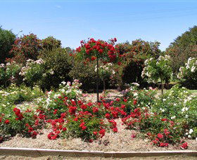 Barooga Botanical Gardens - Restaurant Gold Coast 2