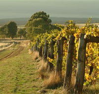 Captains Creek Organic Wines - Restaurant Gold Coast