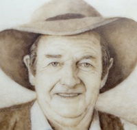 Doris Golder Wool Art Gallery - Restaurant Gold Coast