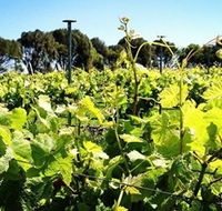 Basalt Wines - Restaurant Gold Coast