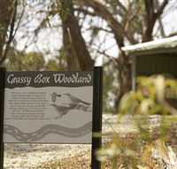 Kindra Forest - Restaurant Gold Coast