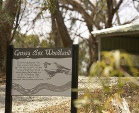 Kindra Forest - Restaurant Gold Coast 0