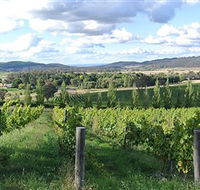 Sassy Wines - Restaurant Gold Coast