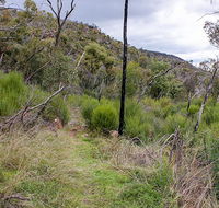 Lynchs loop trail - Restaurant Gold Coast