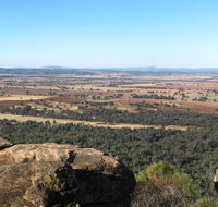 Basin Gully to Eualdrie lookout track - Restaurant Gold Coast