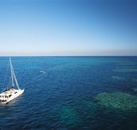 Bait Reef and Garys Lagoon Dive Site - Restaurant Gold Coast